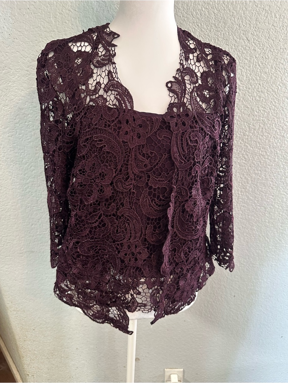 Gorgeous Women's Lace Overlay 3 Piece Set in Deep Plum